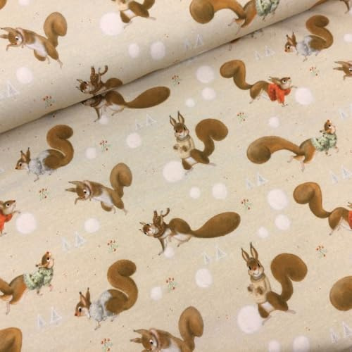 Baumwolljersey Stoff Kinder Fahrzeuge & Tiermotive – 94% Baumwolle 6% Elasthan – Öko-Tex Standard 100 – 150 cm breit – Meterware ab 50 cm für Baby- & Kinderkleidung (Eichhörnchen)