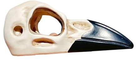 jojnsha Refugio De Reptiles con Calavera De Pájaro Realista para Terrarios Recintos Escondites De Resinas Seguras Cueva para Serpientes Y Mascotas Pequeñas Accesorios para Terrarios Naturales