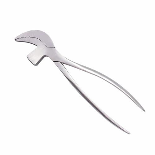 Cobbler Pliers for Leather Craft, Stainless Steel Curved Jaw Plier Pincers with Hammer, Shoemaking Leathercraft Jewelry DIY Tool