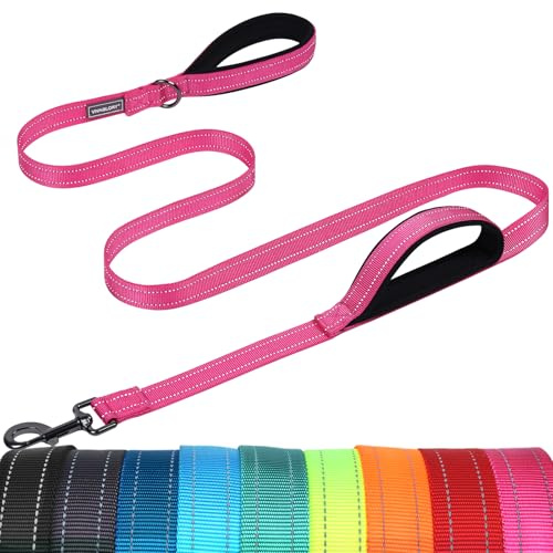 VIVAGLORY Dog Leash Twingrip Double Handle Dog Leash with Traffic Handle & 2 Loop for Walking & Training, Traffic Control Reflective Heavy Duty for Puppy Pet, 5ft x 1in, Pink