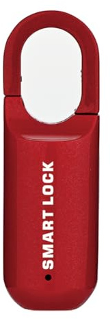 GNURBDILFO Lucchetto con Impronta Digitale M01 Antifurto Intelligente Serratura per Porta Chiave USB Ricaricabile Sicurezza per Armadietto Bici Casa Rosso