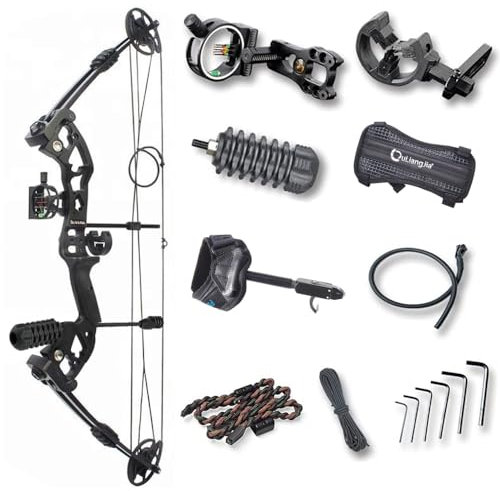 MILAEM Bogenschießen Compoundbogen Jagdbogen 30-55lbs Einstellbare 310FPS Sportbogen mit Carbonpfeilen Bogen für Erwachsene Außenschießübungen für Rechtshänder (Type 2)