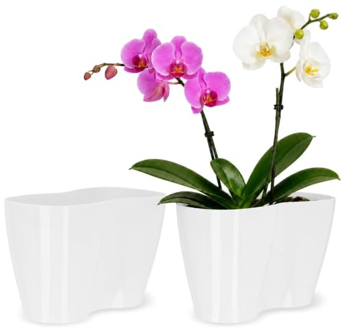 KADAX Blumentopf für Innen, Orchideen, Blumen, Pflanzen, Fensterbank, Übertopf, Orchideentopf, Pflanztopf aus Kunststoff, moderner Pflanzkübel, Blumenkübel, Blumenübertopf (23,5 x 12 cm, Weiß)