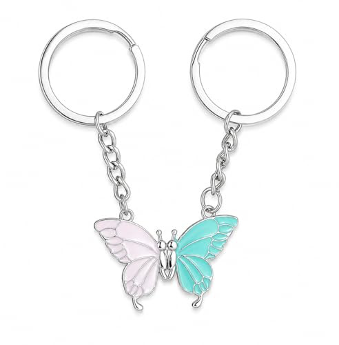 Lot de 2 porte-clés papillon émaillés magnétiques insectes accessoires voiture cadeaux