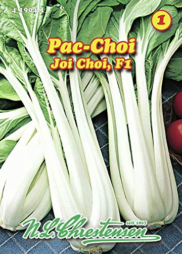 N.L. Chrestensen 419041 Pac Choi Joi Choi F1 (Pak Choisamen)