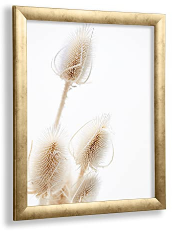 VO Design Bilderrahmen Arne 60 x 80 cm Gold Antik Optik mit entspiegeltem 1 mm Kunstglas - Farbe und Größe frei wählbar | Bruchsicheres 1mm Acrylglas Antireflex und 2,5mm weiße MDF-Rückwand