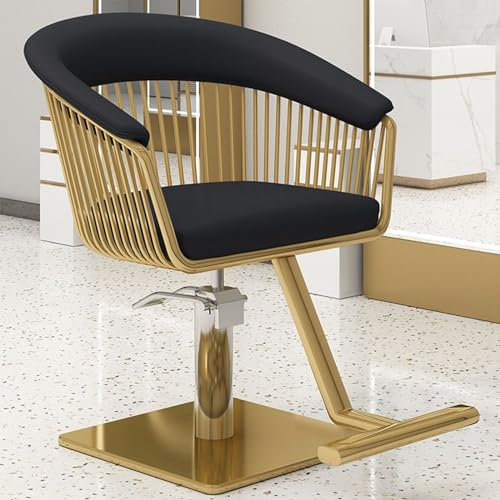 Generisch Hydraulischer Friseurstuhl Multifunktion Hydraulische Friseur Stylingstühle für Salonfriseur Höhenverstellbar 360° drehbar Edelstahl Armlehnen Salon Stylingstühle,012