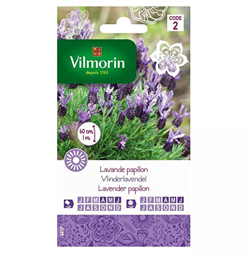 Vilmorin - Lavande Papillon Lavandula