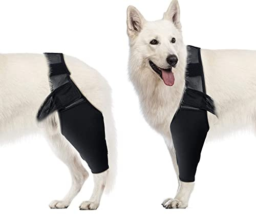 Almohadillas Protectoras para Codo de Perro, Rodillera de Compresión para Soporte de Codo para Perros, Soporte de Codo Y Hombro Canino, Displasia, Artritis, Callos de Codo, úlceras por Presión(L)