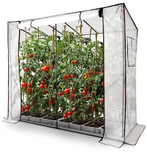 Arebos Serre à tomates en Film Plastique avec 2 fenêtres d'aération | Grande Serre | Serre à tomates, Serre avec Porte à Enrouler | 200x77x170 cm châssis de Couche, légumes, Fleurs, Fruits
