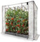 Arebos Serre à tomates en Film Plastique avec 2 fenêtres d'aération | Grande Serre | Serre à tomates, Serre avec Porte à Enrouler | 200x77x170 cm châssis de Couche, légumes, Fleurs, Fruits