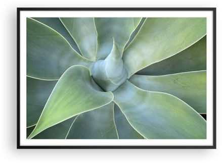 ARTTOR Poster da Parete 100x70 cm Cornice Nera Botanica Fiori - 5451 - P2B