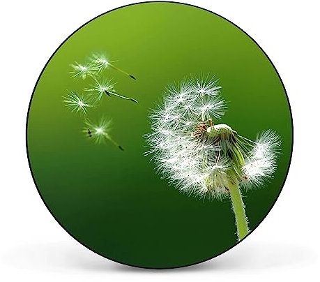 banjado Magnettafel Ø 47cm Schwarz - Magnetwand aus Metall - Magnetpinnwand als Memoboard - Pinnwand Magnettafel Küche, Büro, Kinderzimmer inkl. 4 Magnete & Montageset - Pusteblume