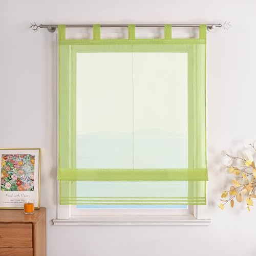 ESLIR Raffrollo mit Schlaufen Raffgardinen Gardinen Küche Grün 100x155 | Transparent, Schlaufenrollo, Modern Voile, 1 Stück, Vorhänge uni, Rollos für Innen, für Küche Wohnzimmer, Bändchenrollo