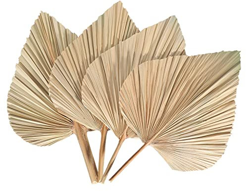 Fenxing Lot de 4 feuilles de palmier séchées en éventails séchés - Plantes artificielles de palmier tropicales