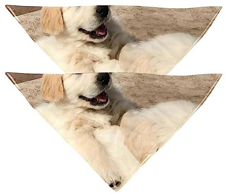 Passendes Set mit Hundehalstüchern, Hundelätzchen, Schal, Dreieckstuch für Hunde, Katzen, Haustierbesitzer, Mutter und Vater, 2er-Pack,Tierischer Golden Retriever Hund