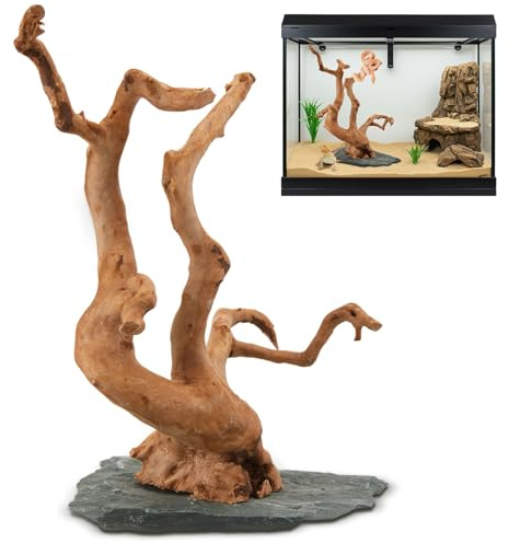 AceOrbit Large Driftwood for Aquarium, 8.5-11.5 Inch Spider Wood on Slate Stone, Natural Spiderwood Aquarium Driftwood Aquascaping Wood for Reptile Enclosure, Terrarium, Reptile Tank, Fish Tank Decor