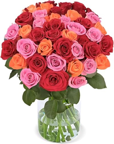 Blume Ideal Rosenstrauß - 40 Rosen - Rosenbeet - Ø 40–50 cm - Echte premium Blumen für Hochzeit & Deko - 7 Tage Frischegarantie - in verschiedenen Farben und Mengen