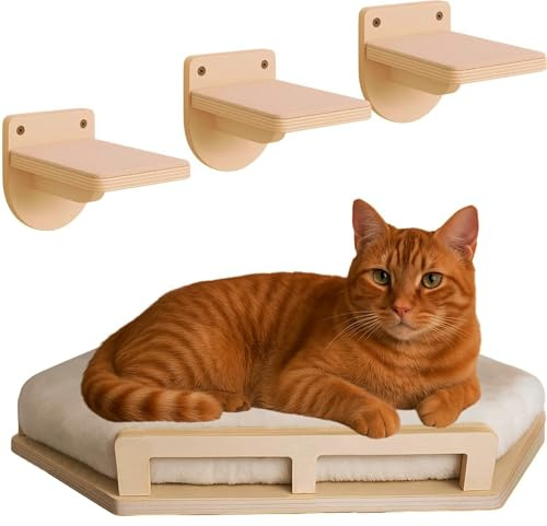 Set da 4 di Parete per Arrampicata per Gatti in Legno Naturale, Scala per Gatti e Rampa da Arrampicata Stabile, con Portata fino a 35 kg