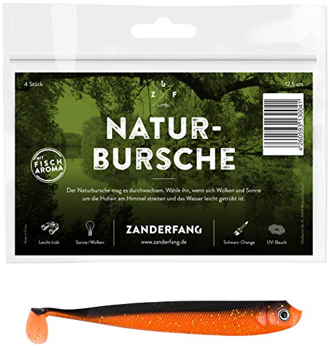 Zander Gummifische 12,5 cm – 24-teiliges Gummiköder Set in 6 fängigen Farben – Kunstköder für Zander, Hecht, Barsch & Dorsch – Weicher Gummi & hochfrequenter Lauf