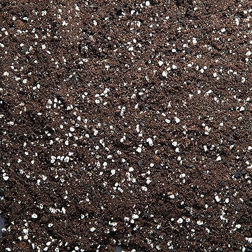 Premium Houseplant Potting Mix with activated Biochar, potting soil for indoor plants (1L)