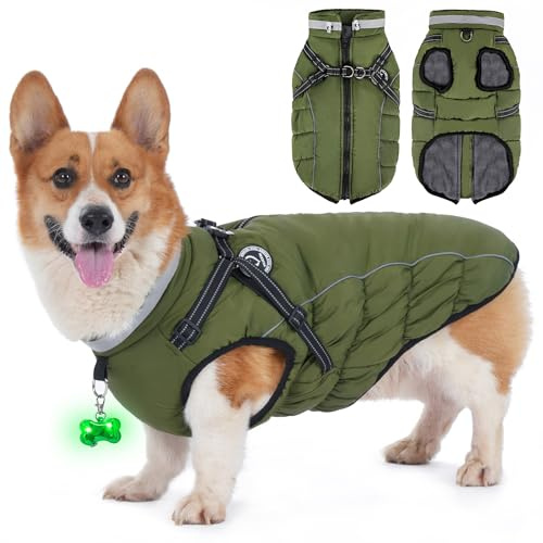 HezzLuv Hundemantel Winter, Hundemantel Wasserdicht, Warme Hundejacke mit Geschirr, Reflektierende Streifen, LED-Leuchtkragen, Winterjacken & Wintermäntel für Kleine, Mittelgroße Hunde, Grün, XXL