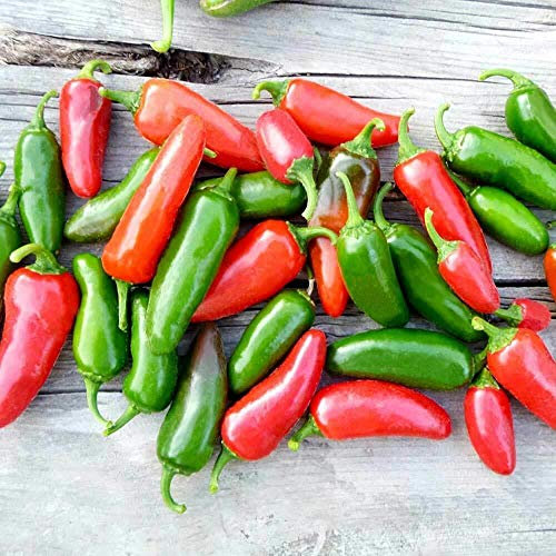 Chilli Jalapeno Seeds Grow Your Own Fruit Vegetables