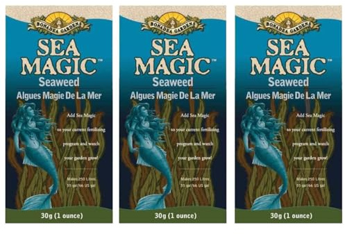Pack of 3 - Sea Magic Dry Soluble Seaweed Extract Fertilizer - 90 Grams Total - Makes 198 US Gallons