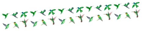TOPBATHY 5 Sätze Anti-Vogel-Aufkleber Glasfensterfolie Vogel Fenster Zimmerpflanzen Blumentöpfe Statisches Glas haftet Glas haften Antihaft Fensteraufkleber Warnaufkleber Vögel 3d Anlage