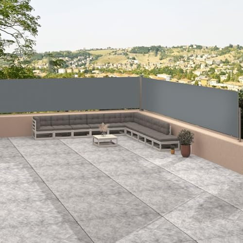 ShGaxin Einziehbare Seitenmarkise, Markisen für den Außenbereich, Terrasse, Markise für Wohnwagen, Sommer, Markise für Balkon, Anthrazit, 117 x 1200 cm