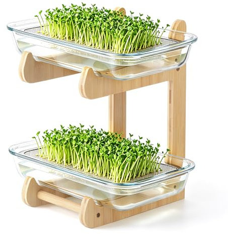 MICHIHOMIE Sprossen Anzuchtset, 2 Böden Microgreens Anzuchtset mit 2 Glas Kresse Anzuchtschalen und Bambusständer, Microgreens Starter Set für Kressesamen, Sprossen, Brunnenkresse
