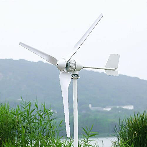 Turbina Eólica 2000W 24V 48V Aerogenerador Horizontal Generador de Turbina de Viento 3 Palas de energía Alternativa Kit Completo de energía eólica,con controlador de carga MPPT