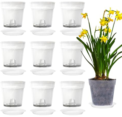 Xmart 10 Pièces Pot Orchidée Transparents avec Trous et 10 Soucoupes Pot Plastique Plante 11,5 cm Pots de Fleur Pots Orchidées pour Bureau de Balcon Intérieur et Extérieur