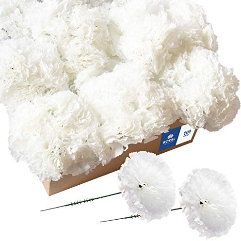 Royal Imports Artificial Carnations, Silk Faux Flowers, for Funeral Arrangements, Wedding Bouquets, Cemetery Wreaths, DIY Crafts - 100 Single 5 Stems - White