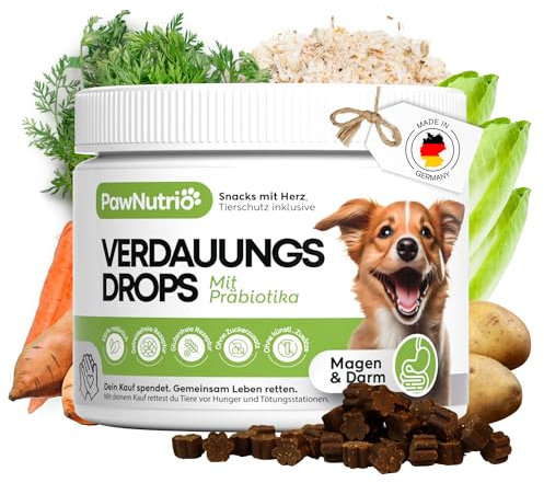 PawNutrio® Verdauungs-Drops für Hunde mit Ulmenrinde I Gegen Gras- & Kotfressen, Durchfall & Sodbrennen I Darmflora I Mit Präbiotika & natürlich I 120 STK. (300g (1 x Dose), Präbiotika)