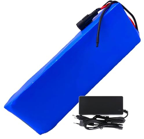 Batería De Litio 24 V 10 Ah 7S3P For Bicicletas Equilibrio, Eléctricas, Scooters Con Protección BMS Y Cargador, Impermeable Iones Ebike XT60+T(T+JST)