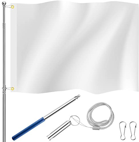 Photect Set di Bandiera Monocolore da 90 x 150 cm Asta Portabandiera Telescopica Fischietto con Cordino e 2 Clip Bandiera in Poliestere con Occhielli da Dipingere o Spruzzare (Bianco)
