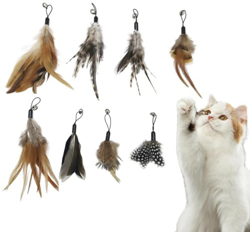 SJUIEO 8 Stück Katzen Federspielzeug Ersatz - Sicher & Umweltfreundlich - für Katzenliebhaber