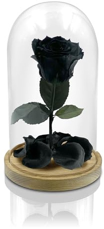 Aluisi Fiori – Rosa La Bella e La Bestia Nera – Base in Legno Naturale Senza LED – Rosa Stabilizzata di Grande Impatto visivo, Ideale per Boutique, salotti e Regali d’autore.