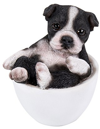 Pacific Giftware Boston Terrier Figur in Tasse mini 7 cm - Hunde Welpe Baby Dekofigur Geschenk für Hundeliebhaber