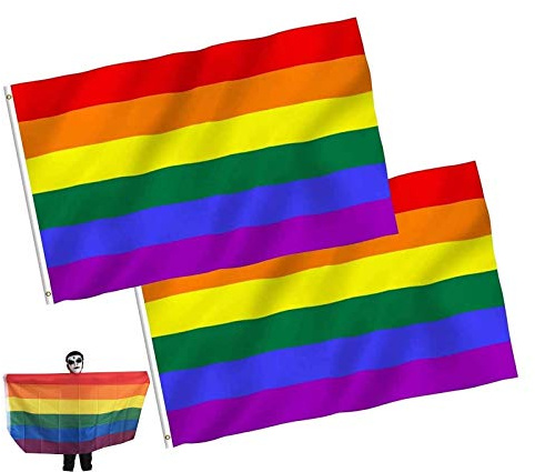 LIUJZZJ Lot de 2 drapeaux arc-en-ciel symbole de Gay Pride - 152 x 91 cm - Pour Festival