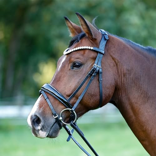 Heinick Trense Performance-Liberty Schwarz Lack Schnellwechselsystem ~ Warmblut ~