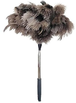 Plumero De Plumas - Plumero Palmera con Telescopico Limpieza | Escoba Flexible Lavable | Plumero Electrostático con Mango Largo para Ventanas, Zócalos, Ventilación, Muebles, Electrodomésticos, PE