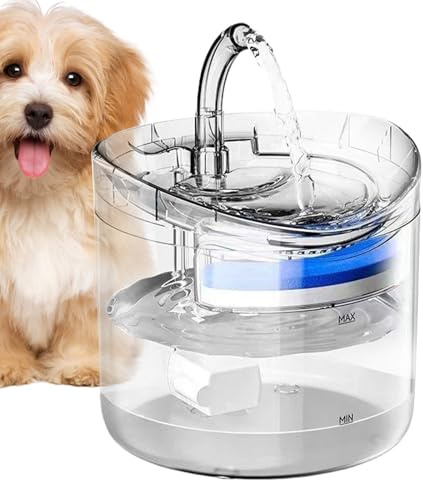 Fontaine d'eau potable pour chat – Distributeur d'eau potable silencieux pour animal domestique, distributeur automatique intelligent de 2 L transparent pour chiot et chaton