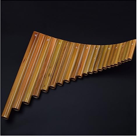 22-Rohr-Panflöten-Musikinstrument Für Einsteiger-Blasinstrumente Mit G/F/C-Tasten Panflöten für Studenten (Color : G key)