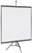 Juroupi Projection Screen with Tripod 67 Inch 1:1