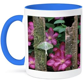 3dRose Pennsylvania, Luna moth insect, clematis flowers - US39 BJA0006 - Jaynes Gallery 11oz Two-Tone Blue Mug