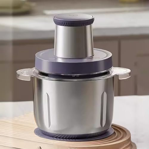TT-YEC Hachoir À Viande Électrique 500 W, Hachoir À Nourriture À 3 Vitesses, Moteur En Cuivre Pur, Avec Bol En Verre, Hachoir À Viande 3 L, Adapté À La Viande, Aux Légumes Et Aux Fruits,B