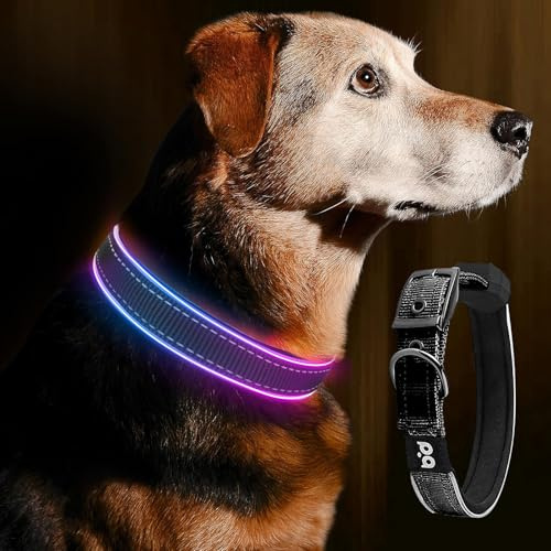 Leuchthalsband Hund, Wasserdicht Hundehalsband Leuchtend, USB LED Hundehalsband, Leuchtend Halsband, leuchtendes Halsband für Hunde, Einstellbare Größe, 3 Beleuchtungsmodi für Kleine Mittlere 44-54cm