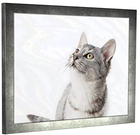 myposterframe Komfort Juno 70 x 100 cm Rahmen Eisen gewischt